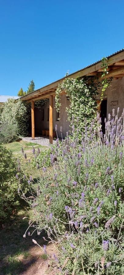 Tikaykilla Lodge & Wines Maipú Exteriör bild