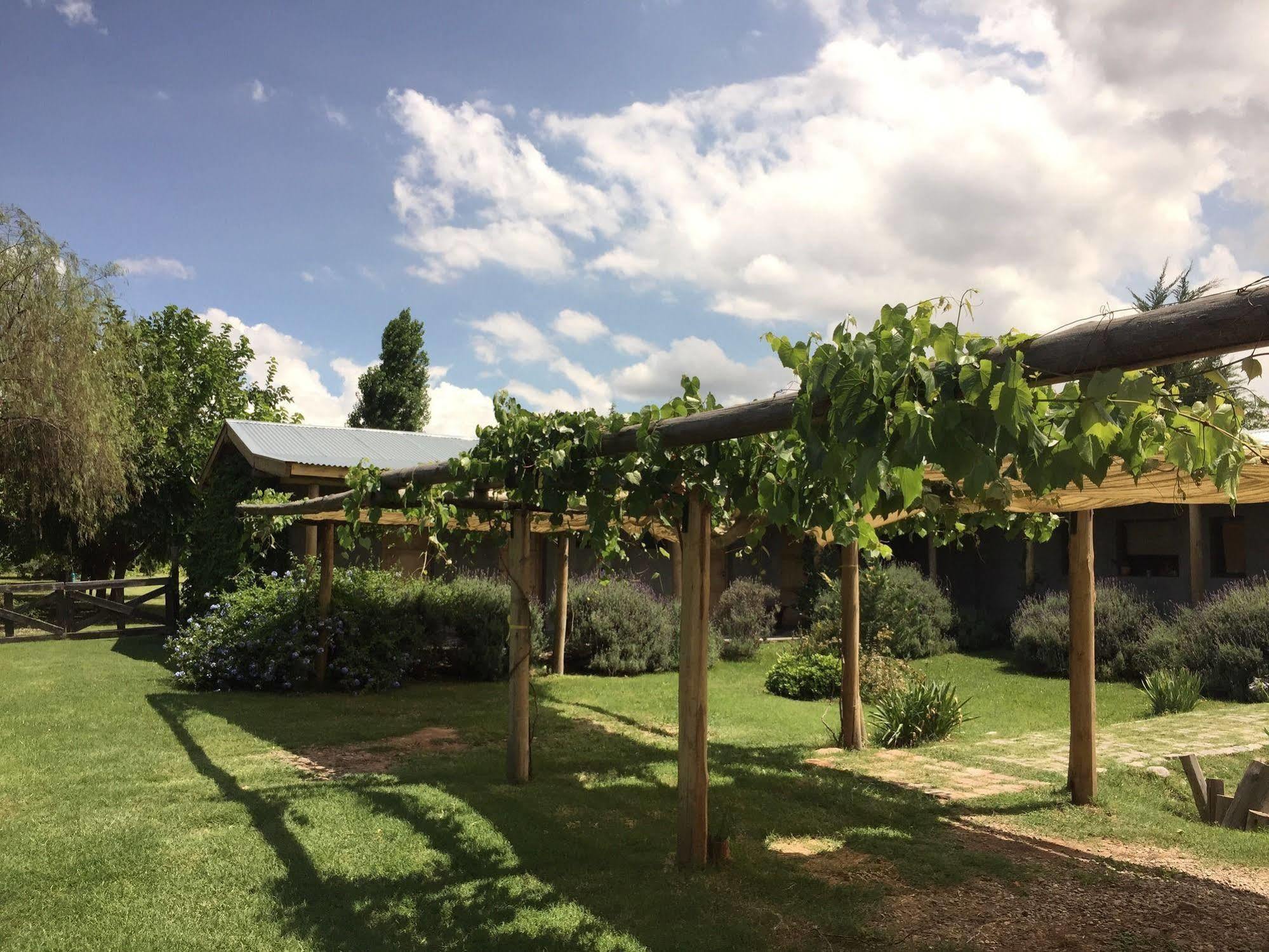 Tikaykilla Lodge & Wines Maipú Exteriör bild