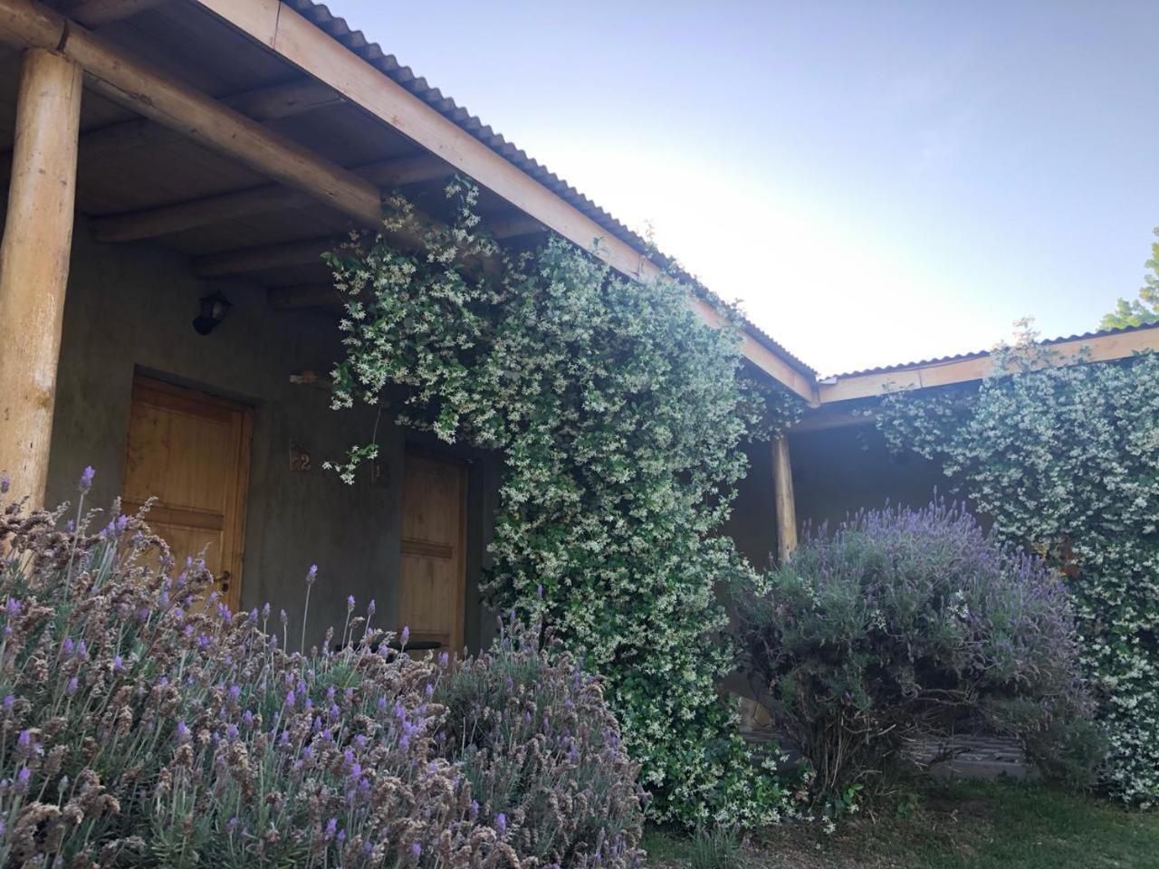 Tikaykilla Lodge & Wines Maipú Exteriör bild